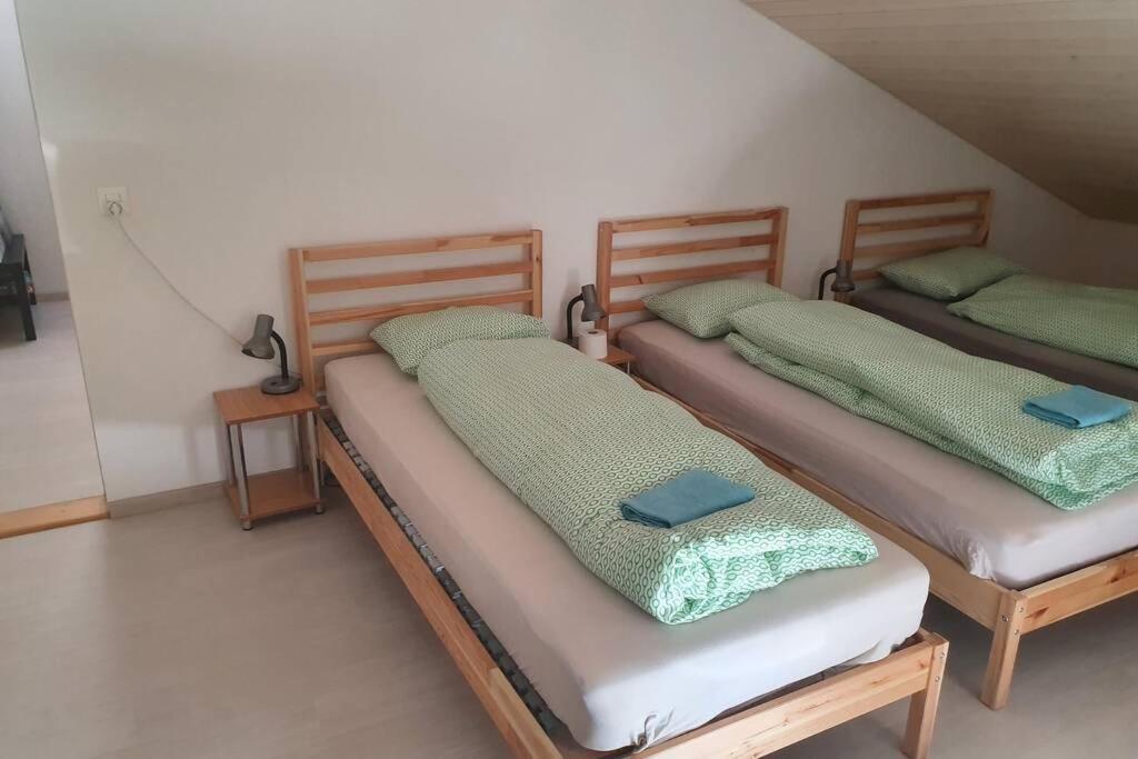 Classy Apartment Интерлакен Экстерьер фото