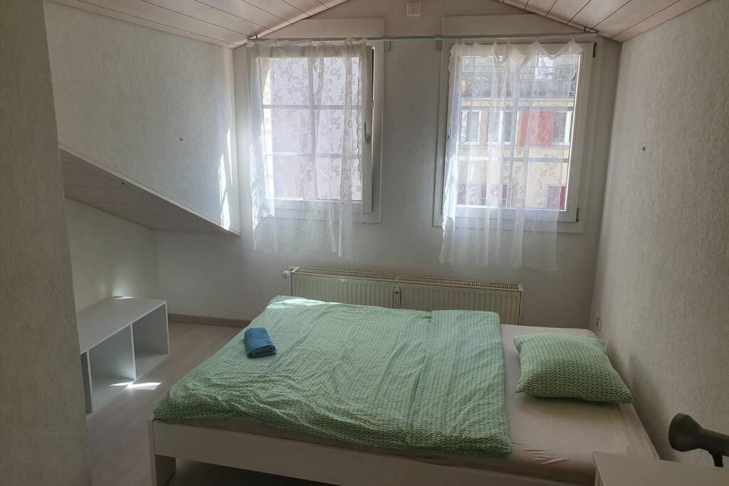 Classy Apartment Интерлакен Экстерьер фото